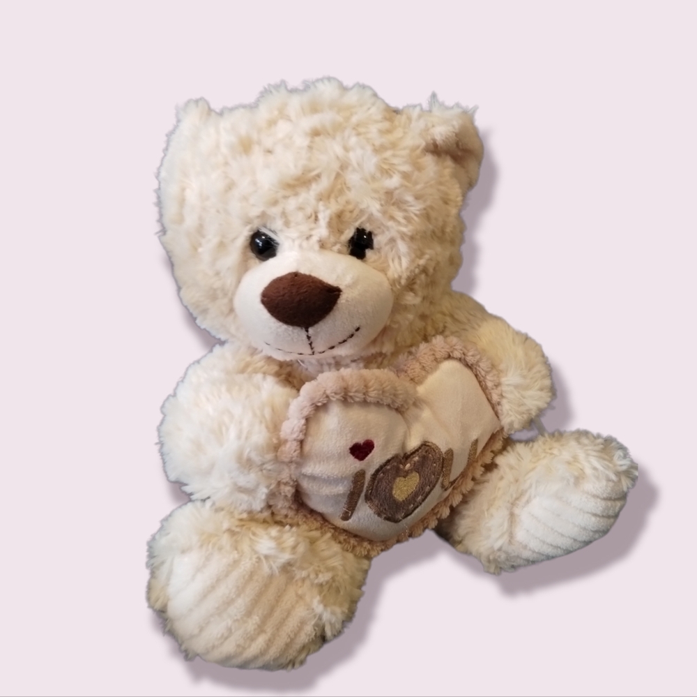 Hug & Luv Teddy bear plush Valentine